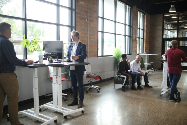 meet the team
